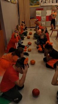 IMG_20241031_104142363