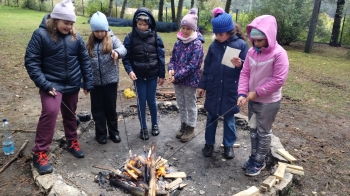 IMG_20251001_113219853