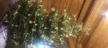 IMG_20251218_133843010