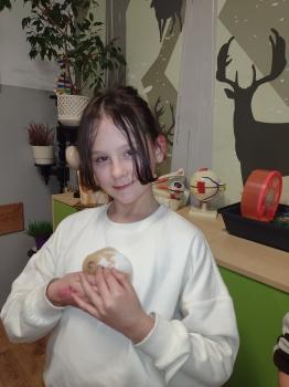 IMG_20260203_132855721