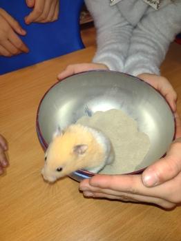 IMG_20260122_124606768(1)