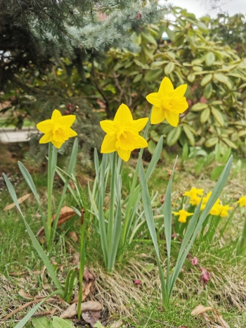 IMG_20260401_171545