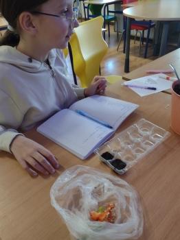 IMG_20260429_140426579