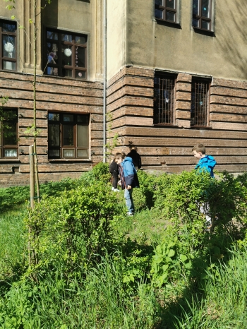 IMG_20260424_095411