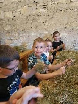 img_20260525_103136