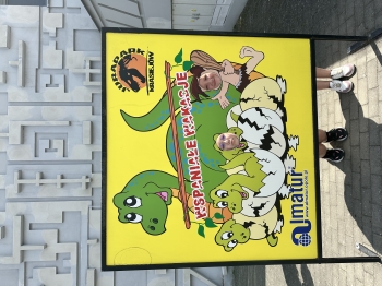 IMG_7037.jpeg