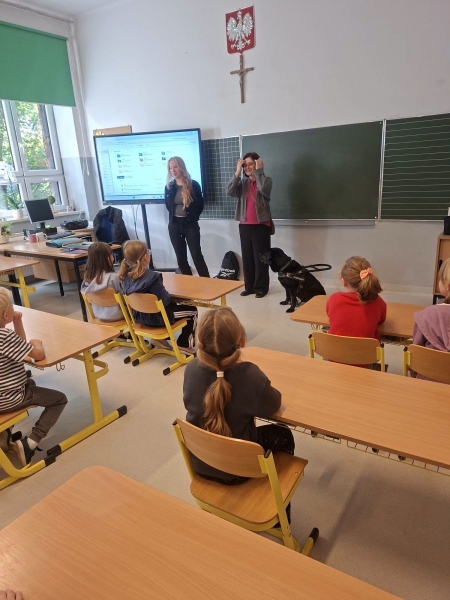 Zawód: pies asystujący